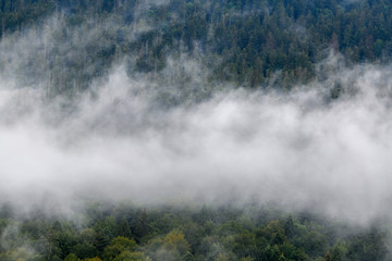 Majestic view on beautiful fog and cloud mountains in mist landscape.