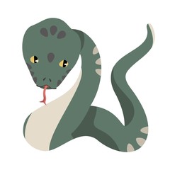 緑色のヘビ