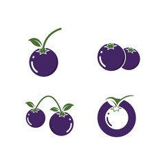 blueberry vector illustration design