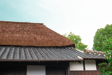 Fototapeta na wymiar 茅葺屋根の日本家屋