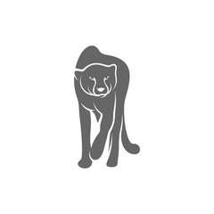 Cheetah logo template vector illustration