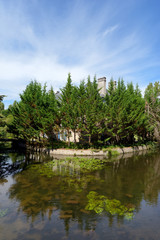 Fototapeta na wymiar Essonne river in the French Gatinais regional nature park. Buno-Bonnevaux village