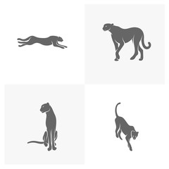 Set of Cheetah logo template vector illustration