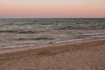 sandy sea beach in the evening