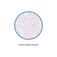 Propionibacterium bacteria of intestinal flora vector illustration isolated.