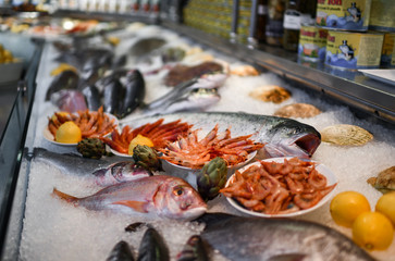 Fish shop counter with different seafood. Different fish, big fresh tasty shrimps, sea urchin decorated with artichoke