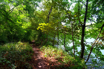 Sermaize nature reserve and Seine river  bank in Seine et Marne country