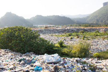 Domestic garbage in landfill site
