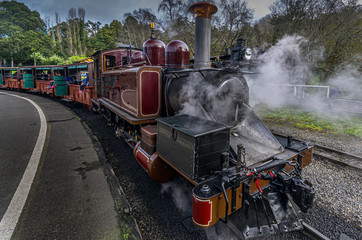 Steam Train