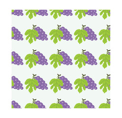 seamless patterns with grapes are perfect for baby clothes, kids, fabrics, gift wrapping and much more.