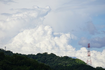many white clouds and blue sky in summer
夏の沢山の白い雲と青い空