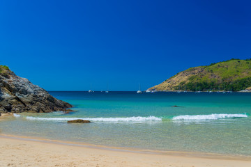 Tropical sandy beach landscape