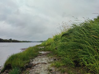 river coastline with green grass against cloudy sky after rain