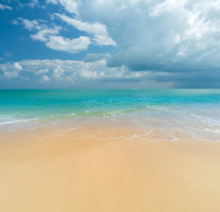 Tropical sandy beach landscape