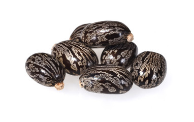 Rizinus, Ricinus Communis