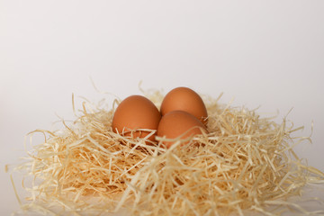 Chicken eggs lie in a straw on a white background