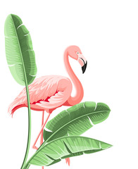 Summer tropical frame exotic banana leaf. Design background for card,invitation,poster.