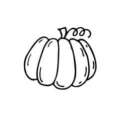 Pumpkin. Hand drawn vector doodle illustration.