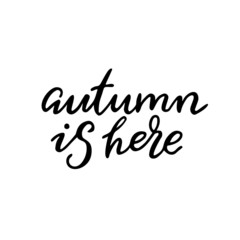 Fototapeta premium Autumn is here. Hand written words. Simple vector lettering.