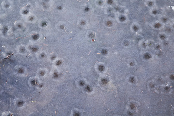 Primo piano della lastra di ghiaccio che ricopre il laghetto, viaggi e paesaggi sull'Altopiano di Asiago in Veneto