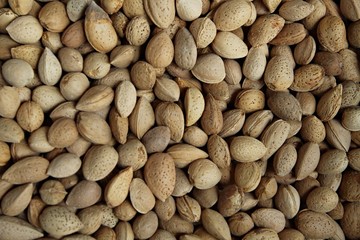 raw almonds in shell, could be used like the background