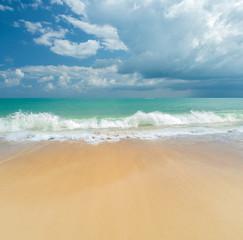 Fototapeta na wymiar Tropical sandy beach landscape