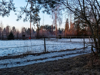 open paddock for horses in winter, Moscow region