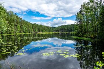 Scene at hiking trail in Nuuksio national park, Espoo, Finland.