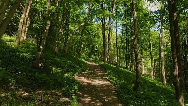 Flying up and along a trail