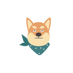 Angry Shiba inu dog head isolated on white background.