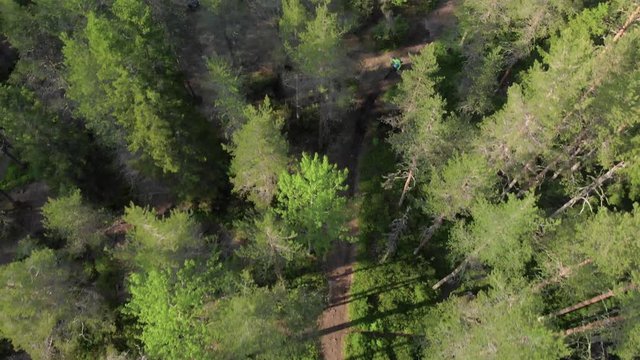 Aerial top down follow shot of male mountain biker in forest, summer