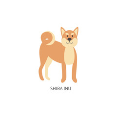 Card of dog breeds with Shiba Inu puppy flat vector illustration isolated.