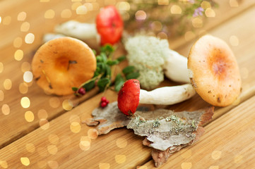 edible mushrooms, nature and environment concept - russules on wooden background
