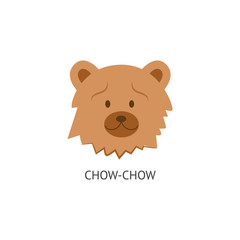 The head with the face of a fluffy and woolly dog Chow Chow.