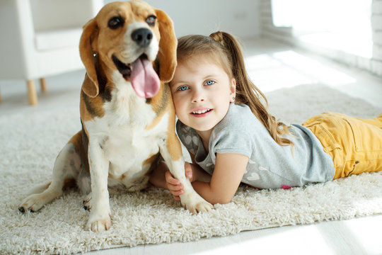 Little girl with a dog at home. High quality photo.
