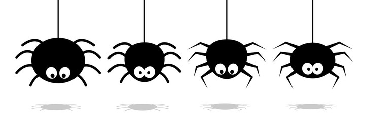 halloween spider's web vector. black spider on white background. danger insect. horror banner, scary poster. cobweb isolated decoration stock illustration. october holiday flyer mockup mock up