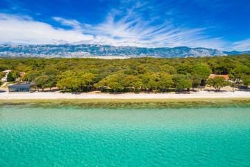 Adriatic sea shore in Croatia, Pag island, pine woods, tourist resorts and beach from drone