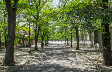 京都の白川沿いの通り