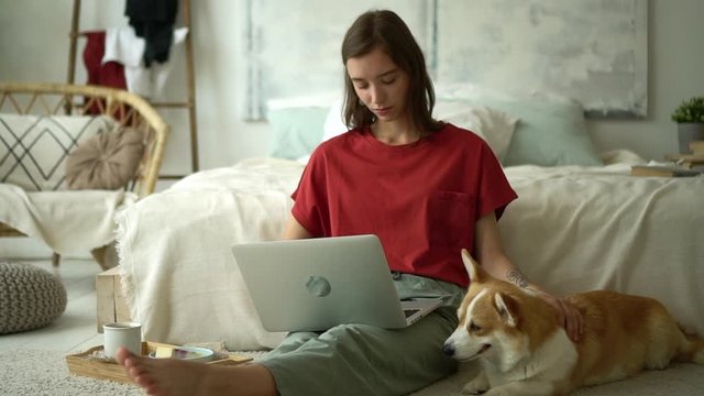 concentrated woman working on laptop and carpet stroking corgi dog. Avki serious woman sit on floor and work remotely, study or freelance. teleworking, business, internet concept
