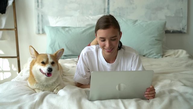 happy smiling female dog owner look at corgi and browse internet on laptop computer Avki. teenager girl lying on bed and using technology. together with beautiful adorable pet friend