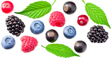 mix of blueberry, blackberry, cranberry, raspberry with leaves isolated on white background. top view