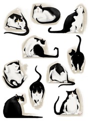 set of black and white  cats. Digital illustration, cartoon, character design 
