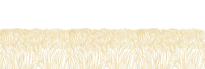 Fototapeta Dry field. Yellow thick grass meadow. Orange lawn. Hand drawn sketch. Horizontal banner background. Vector contour line. Copy space. obraz