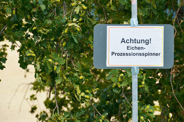 Eichenprozessionsspinner-Hinweis vor Eiche