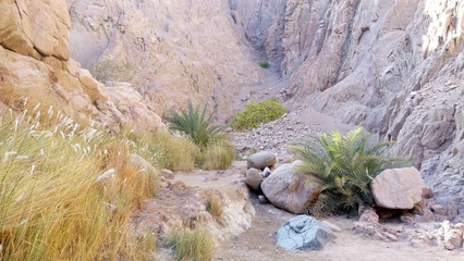 mountain river in the mountains