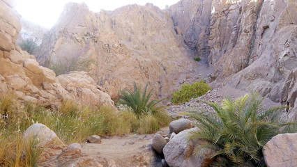 rocky mountain landscape