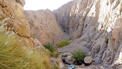 rock in the mountains