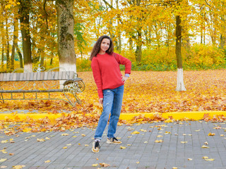 young girl on a background of fallen yellow foliage in the park