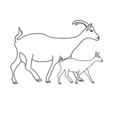 Goat and kid, mom and baby animals, coloring book page for children learning, pets vector outline illustration