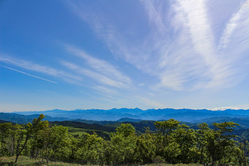 茶臼山高原と南アルプスの山々
